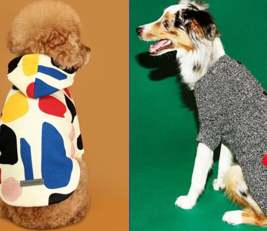 Get Your Pup More Instagram Followers with These 12 Warm and Cute Dog Sweaters