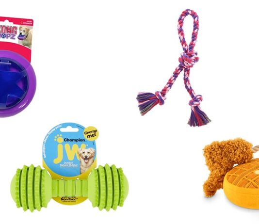 How to Clean Dog Toys (And When to Toss Them)