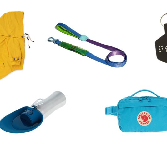 Walking Accessories You and Your Dog Will LOVE